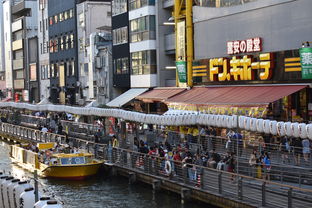 抚顺皇家海洋馆一日游需要带什么（抚顺皇家海洋馆一日游攻略）