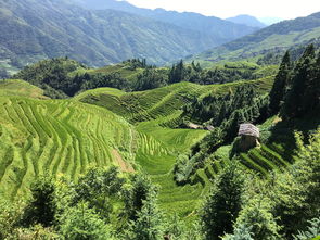 九华山是哪位菩萨的修行道场（佛教中九华山是什么菩萨的道场）