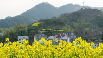 云南保山市启迪科学家小镇（保山启迪科技城什么时间交房）