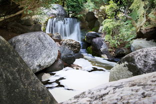 云南塔城旅游景点（塔城旅游景区）