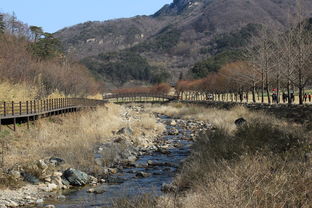 云南大理巍山县南诏镇（巍山县南诏镇有几个村）