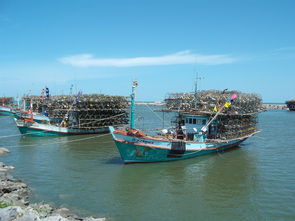 云南南线西双版纳旅游路线（西双版纳南面是什么国家）