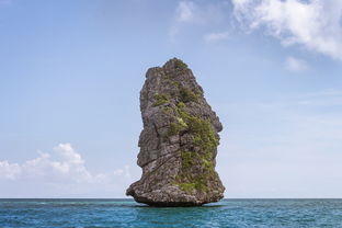 报团去云南旅游怎么样（去云南旅游当地报团）