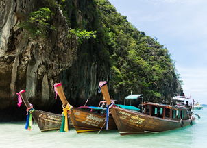 现在去云南旅游需要（现在去云南旅游需要做核酸检测吗）