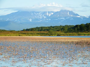 梁平竹海风景区农家乐（梁平竹海风景区农家乐电话）