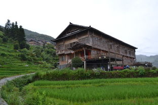 西北旅游区旅游概况（西北旅游区主要旅游景点）