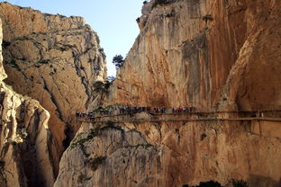 象山县有什么好玩的地方（象山县有什么好玩的地方旅游景点）