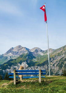 虎山风景区攻略（虎山风景区攻略路线图）