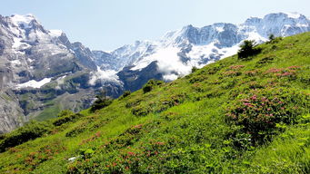 南山竹海索道时间（南山竹海缆车和索道的路线）