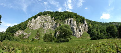 云南保山高黎贡山（云南保山高黎贡山生态先行共赴美好主题观后感）