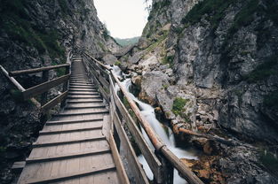 舟山旅游必去（舟山旅游必去景点）