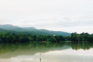 云阳镇鹿鸣山风景区（双阳鹿鸣山庄）