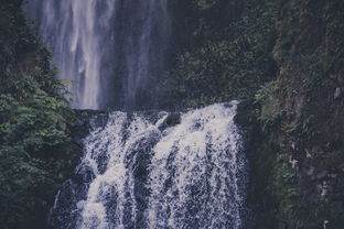 唐梓山要门票吗（唐梓山风景区游玩攻略）