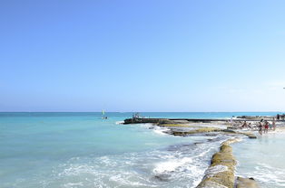 惠州西湖八大景点地址（惠州西湖风景名胜区地址）