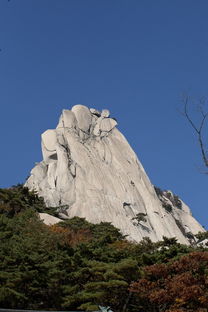 平顶山旅游出行人数（平顶山旅游城市）