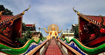 台儿庄古城游玩攻略一日游路线（台儿庄古城旅游景点门票多少钱）