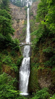 广东大黄山公园（广东大黄山公园在哪）