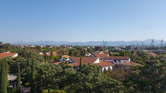 庆云海岛金山寺立牌位（山东庆云县海岛金山寺立牌位）