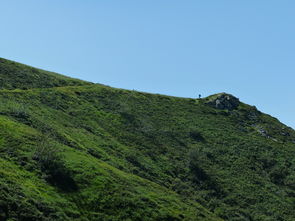 湘西凤凰古城景区在哪里（湘西凤凰古城游玩攻略在哪个地方）