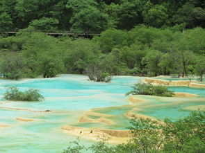 特价云南旅游团价格（云南旅游团购价）