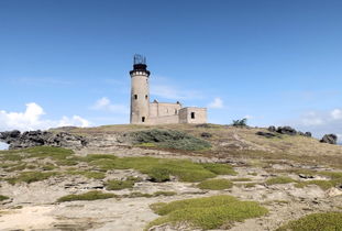 云南西双版纳旅游介绍（云南西双版纳旅游介绍词）