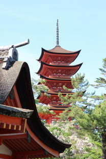 冬天百望山旅游攻略（冬天爬百望山森林公园）