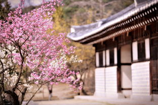 二郎山有多高二郎山隧道有多长（二郎山有几个隧道）