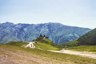 轿子山花海在什么地方（轿子山一日游）