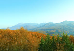 龙凤山水水库占地面积多少（龙凤山水库天气预报）