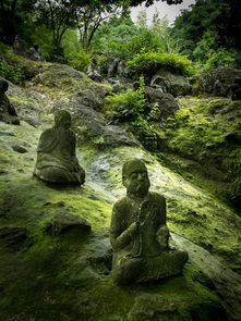 云南红河州绿春县（云南红河州绿春县邮政编码）