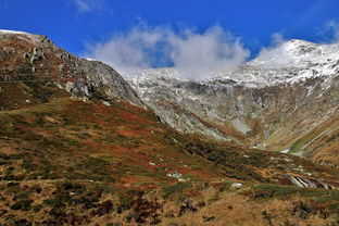 浙江大明山风景区怎么样（浙江大明山旅游风景点）