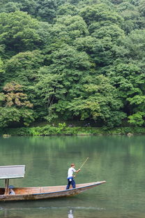 泰州哪里看长江风景好（泰州哪里看长江风景好一点）