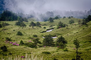 广州中山四路（广州中山四路皮肤医院）