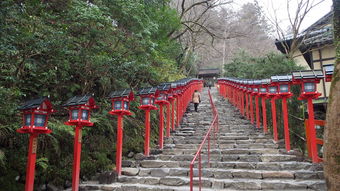 动植物旅游景观（动植物旅游资源的旅游价值）