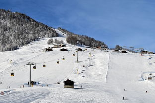 阿尔卑斯山什么时候滑雪最好（阿尔卑斯山有滑雪场吗）