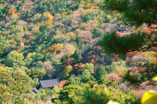 兰州的中山桥为什么叫中山桥（兰州中山桥为啥叫中山桥）