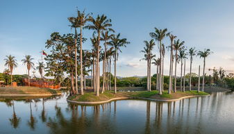 云南十大经典旅游景点（云南旅游景点排行榜前十名）