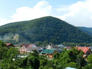 马山县城的林地面积（马山县占地面积多大）