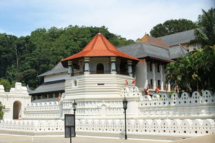 五台山旅游景点门票价格（五台山风景区门票价格）