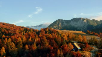 英山旅游攻略必去景点（英山著名景点）