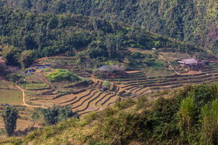 天台山住宿需要什么条件（天台山景区内住宿）