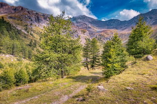 英山旅游攻略必去景点（英山著名景点）