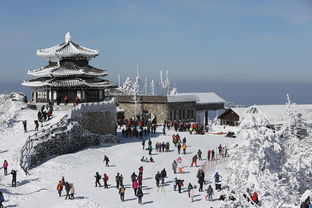 厦门天竺山森林公园西门（厦门天竺山森林公园西门离东门远吗）