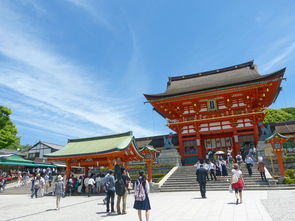 老君山风景区在哪里云南（云南老君山旅游风景区）