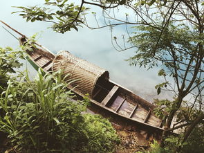 棋盘山风景区是几（棋盘山风景区好玩吗）