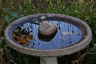 衡水湖水上乐园在哪里（衡水湖游乐园）