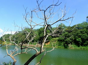 云南有哪些旅游景点有小孩玩的（云南旅游带小孩适合去哪些地方）