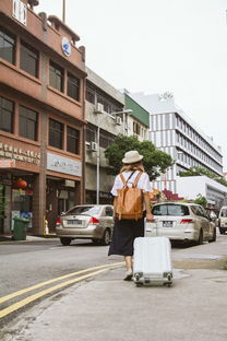 出国游轮豪华游轮旅游团（游轮国外豪华游价格）