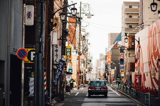 长白山跟团旅游注意事项（长白山跟团一日游多少钱）