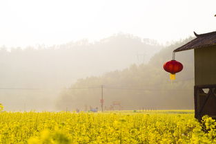 什么时候去云南丽江旅游最好几月份（云南丽江什么时候去旅游最合适）